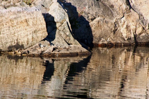Fun lakes and interesting reflections...