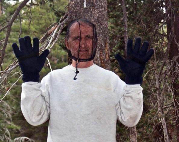 After several days, they may resemble Marvin here, who I believe is surrendering to mosquitos. 