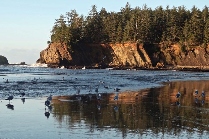 Seagulls and sunset at Sunset Bay near Coos Bay on the Oregon Coast.