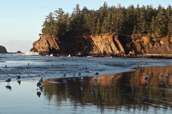 Seagulls and sunset at Sunset Bay near Coos Bay on the Oregon Coast.