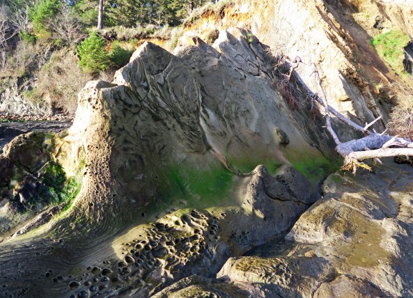 Millions of years ago, Sunset Bay was part of a large delta where layer after layer of silt, sand, and marine deposits were laid down over eons creating sedimentary rocks. Once flat, these layers were tilted upward by plate tectonics as the Pacific plate crashed into and sank under the North America continent. 
