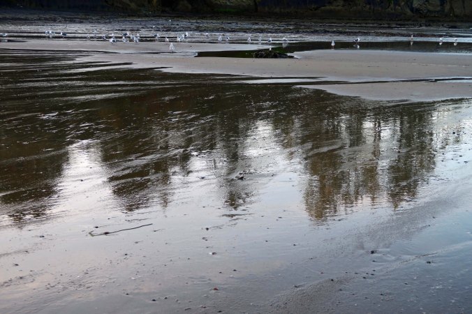 Another reflection shot, which includes seagulls.