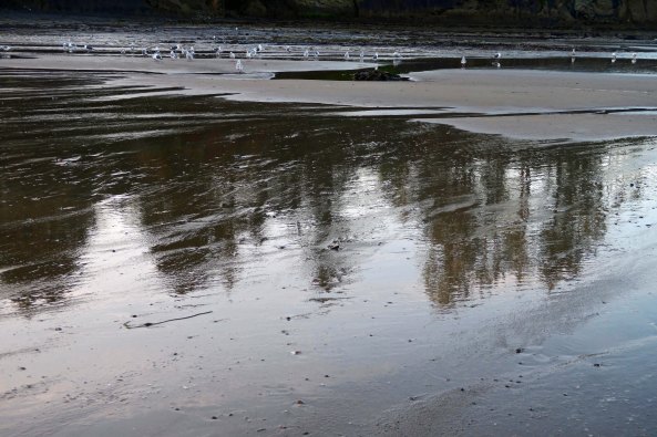 Another reflection shot, which includes seagulls.