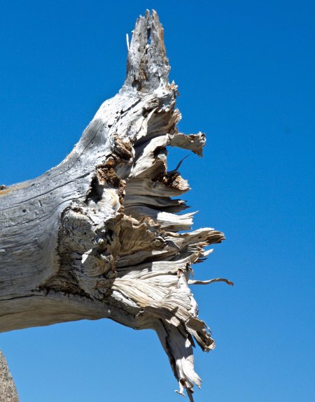 It was in the Five Lakes Basin 