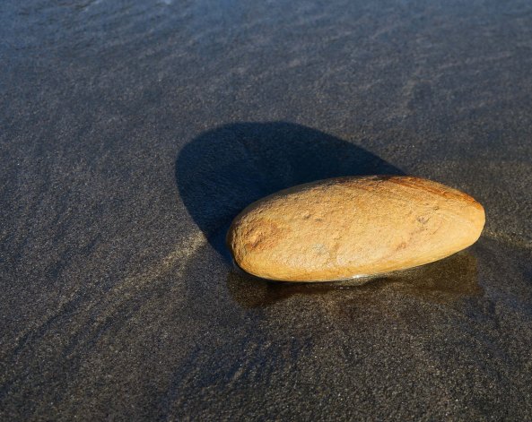 A rock added a dash of color...