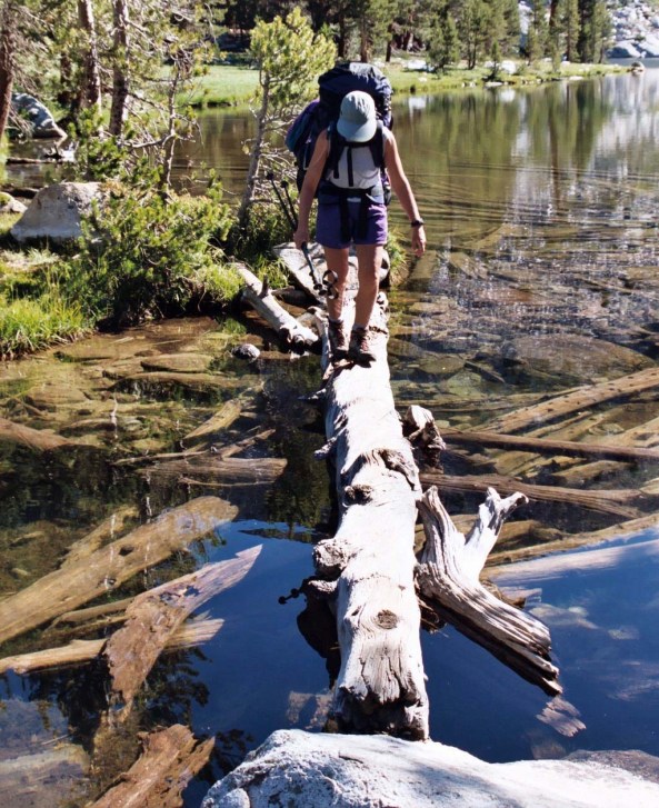 Usually, crossing outlets can provide a bit of a challenge, as Ann Nash demonstrates.