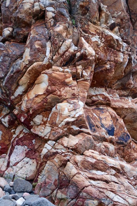 Photo of conglomerate rock by Peggy Mekemson at Harris Beach State Park on the Oregon Coast.