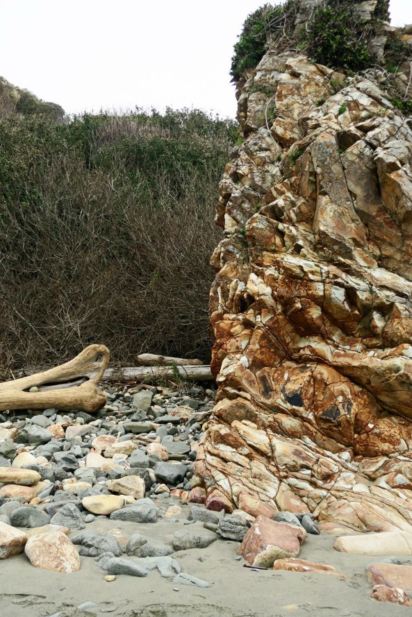 Conglomerate rock at Harris Beach State Park near Brookings, Oregon.