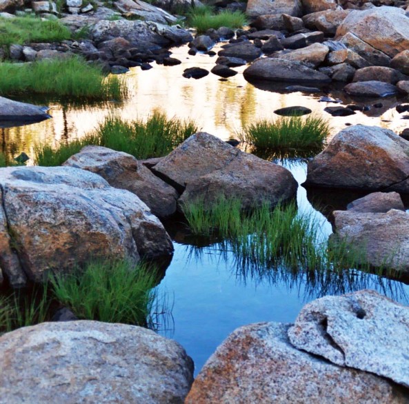 Small ponds like this are always a favorite of mine. Mosquitoes can be a problem, though.