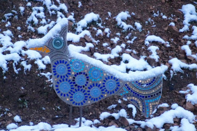 Our ceramic jay was looking cold.