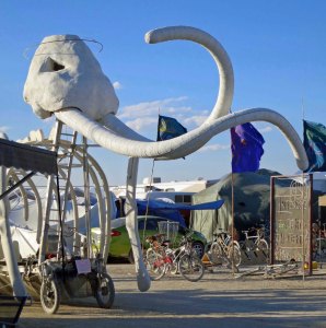 Head and tusks of mammoth at Burning Man.