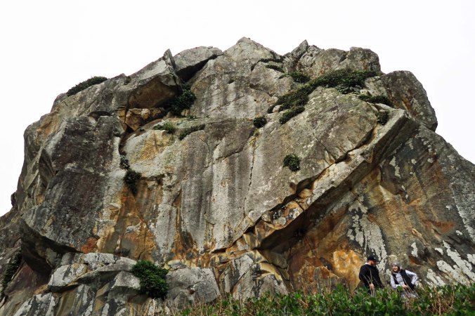 Massive rock face at Harris Beach State Park.