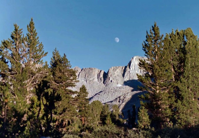 "Between every two pine trees there is a door leading to a new way of life." –John Muir