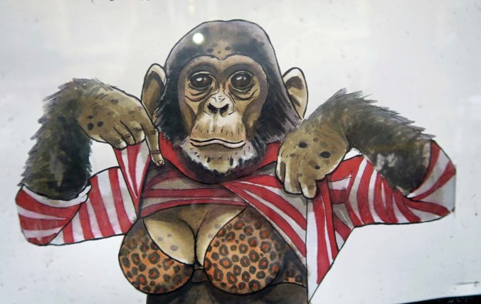 Had I not been walking in Boston, I would have missed this bodacious baboon who was advertising a play near Paul Revere's house in North Boston.