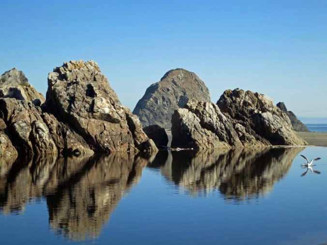This is what you find on a sunny day at Harris Beach State Park near Brookings, Oregon. Peggy and I had to deal with stormy weather.