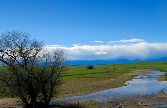The Central Valley was showing signs of spring.