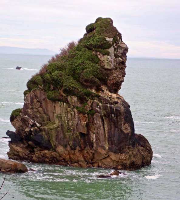 Photo of sea stack rock by Peggy Mekemson at Harris Beach State Park near Brookings, Oregon.