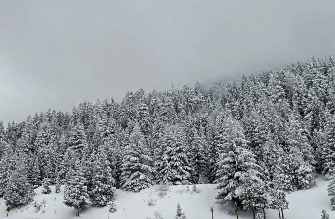 Another snowy shot going up the mountain. (Photo by Peggy Mekemson.)