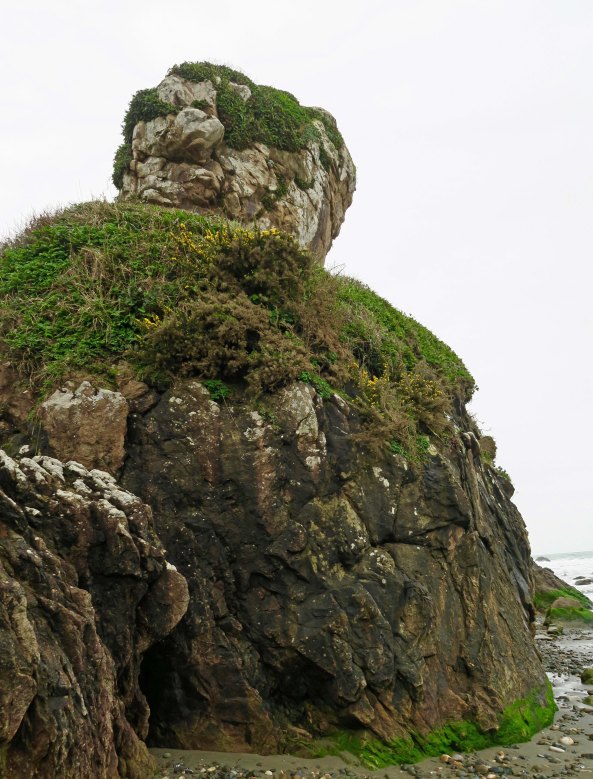 Turtle-like rock at Harris Beach State Park near Brookings, Oregon.