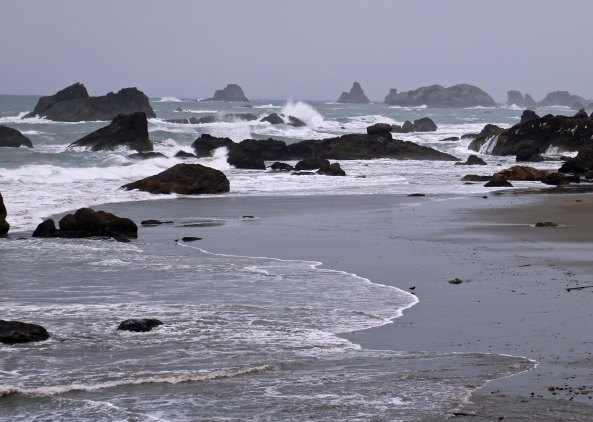 Peggy's telephoto lens provided a better view of just how many sea stack rocks are found on Harris Beach State Park.