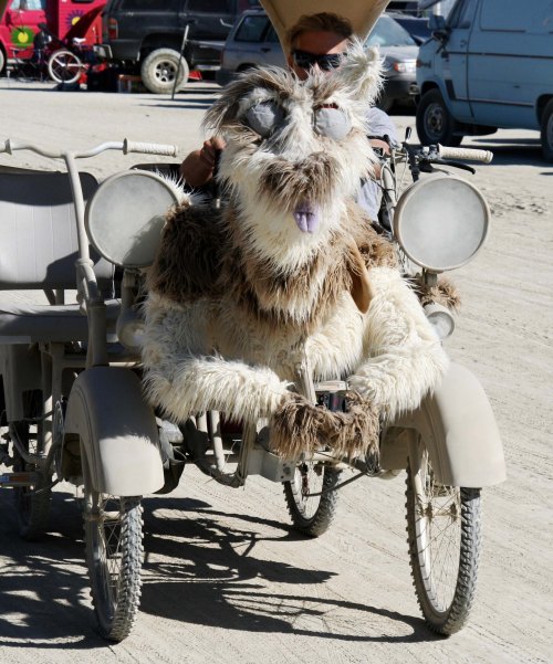 Dog mutant vehicle at Burning Man.