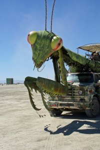 Praying Mantis mutant vehicle at Burning man.