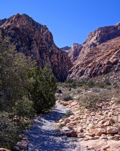 Trail into Ice Box Canyon in Red Rock Canyon near Las Vegas.