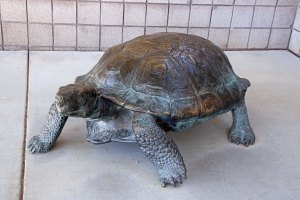 Tortoise sculpture at Red Rock Canyon Visitor Center next to Las Vegas, Nevada.