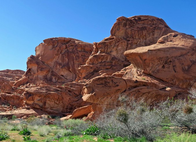 I liked the rounded look here plus the green shrubs.