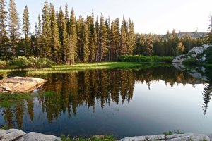 Peggy's Lake in the Grouse Ridge area of the Northern Sierras.