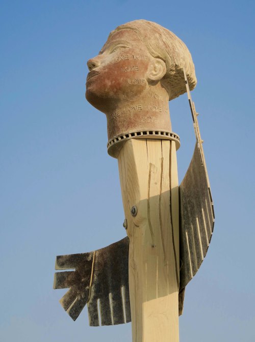 Thunderbird at Burning Man 2017