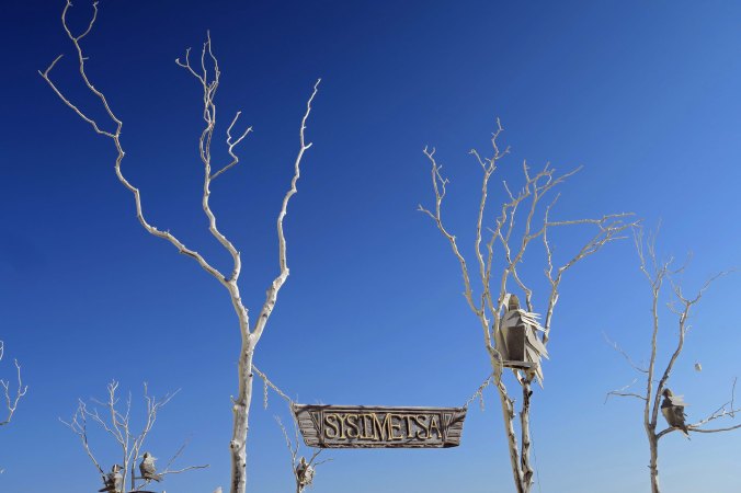 Crows in trees, Sysimetsä at Burning Man 2017