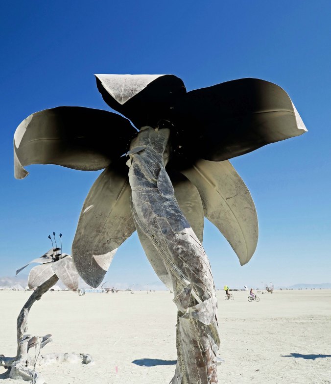 Efflorescence at Burning Man 2017