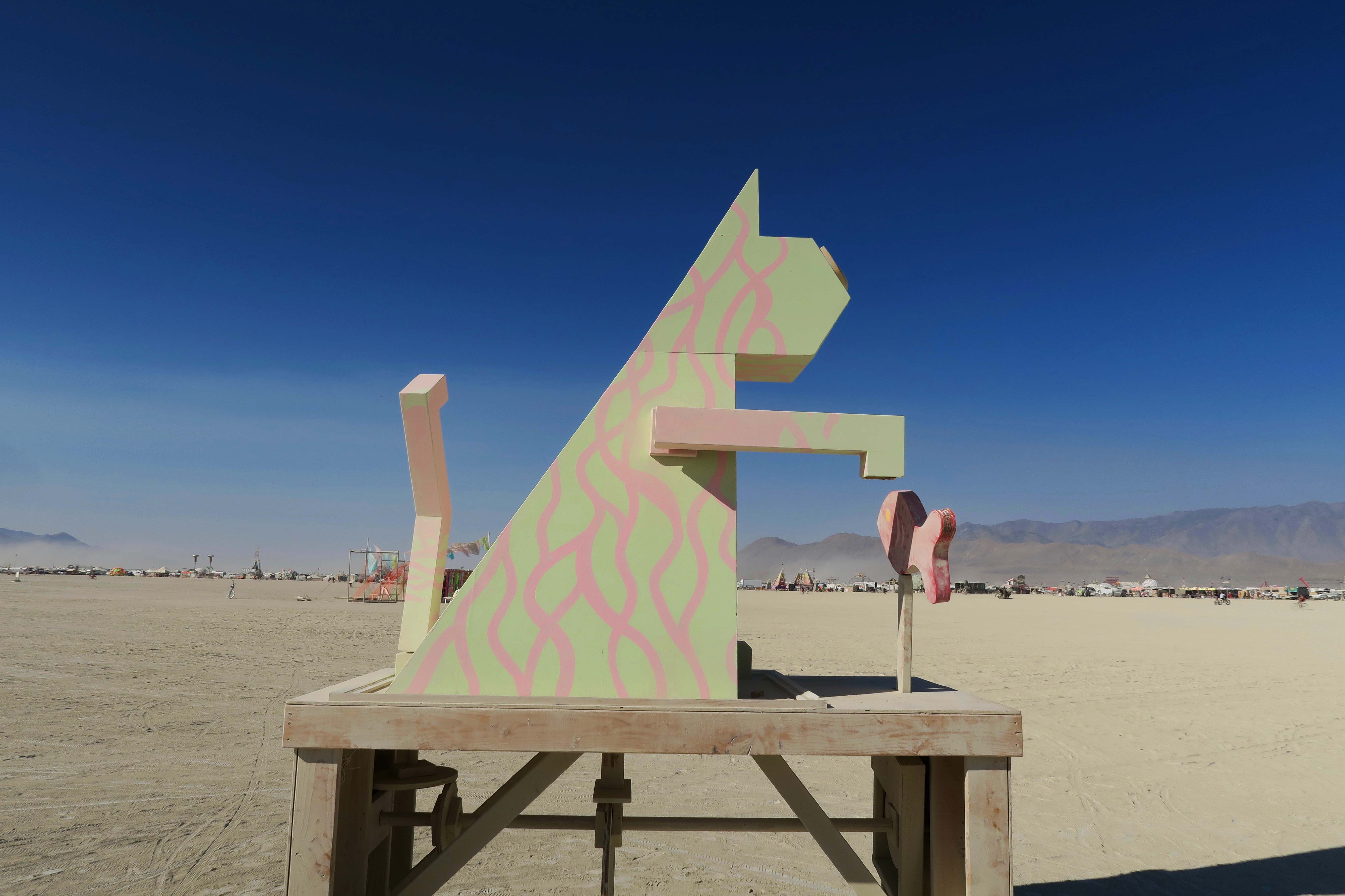 Fish catching cat at Burning Man 2017