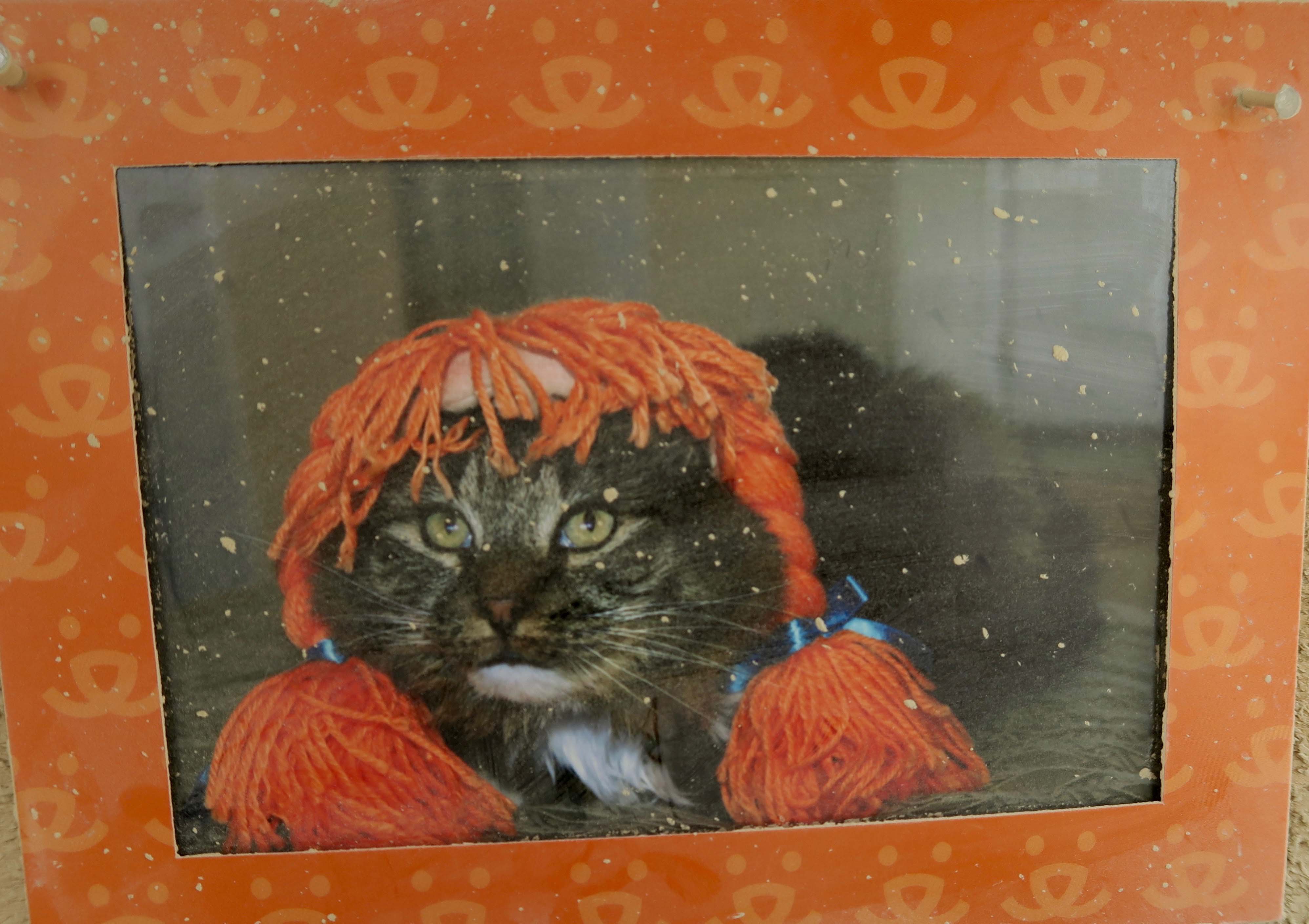 Memorial to cat at Burning Man Temple, 2017