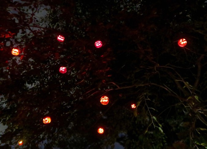 Pumpkins in trees at Jack-o-Lantern Spectacular in Rhode Island