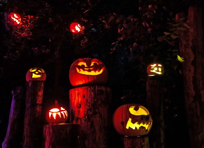 Pumpkins on stumps at the Jack-o-Lantern Spectacular in Providence, RI