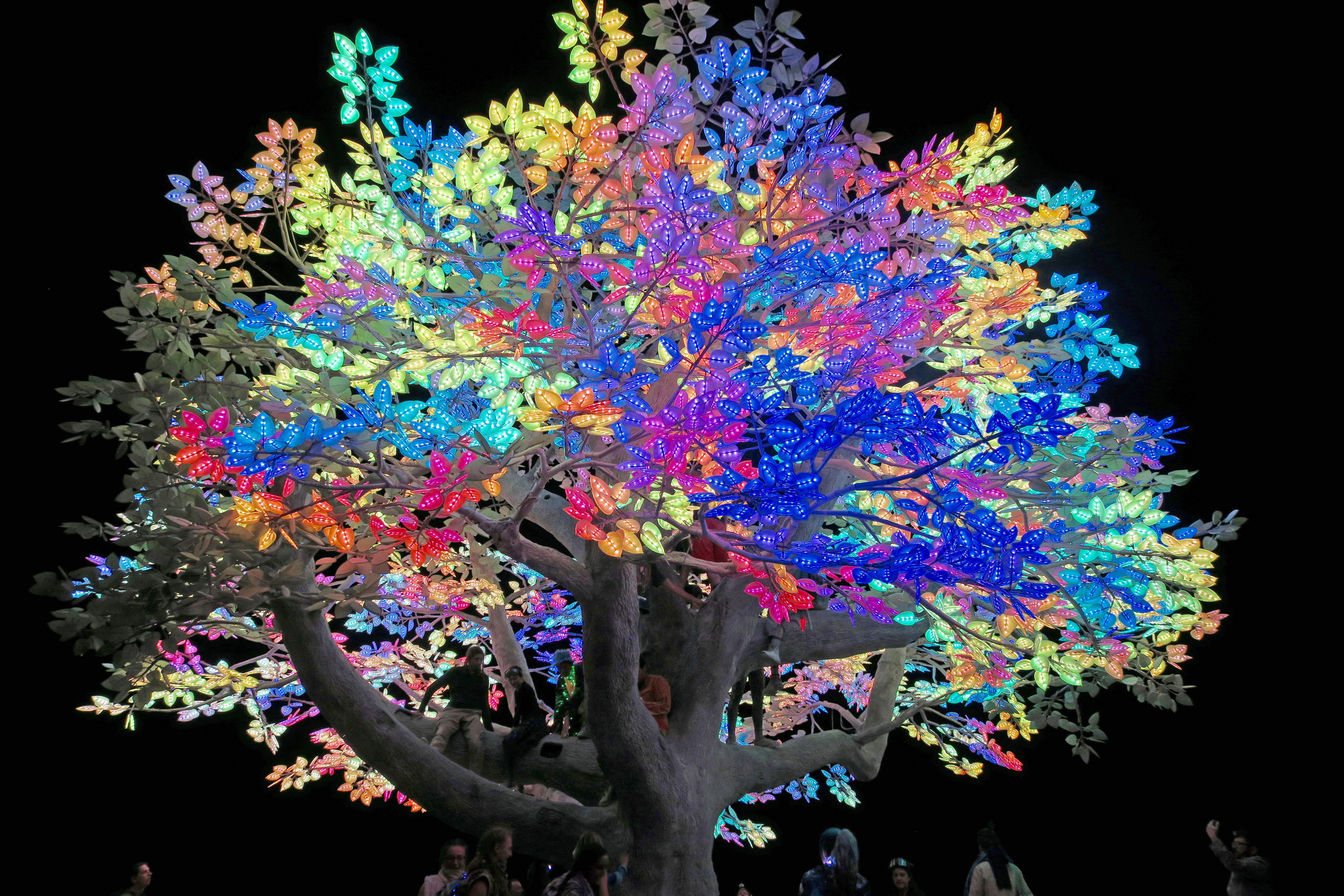 Tree of Ténéré at night, Burning Man 2017