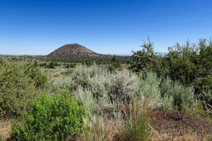 Photo by Curtis Mekemson.