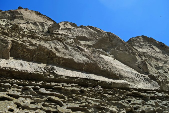 Photo by Curt Mekemson.