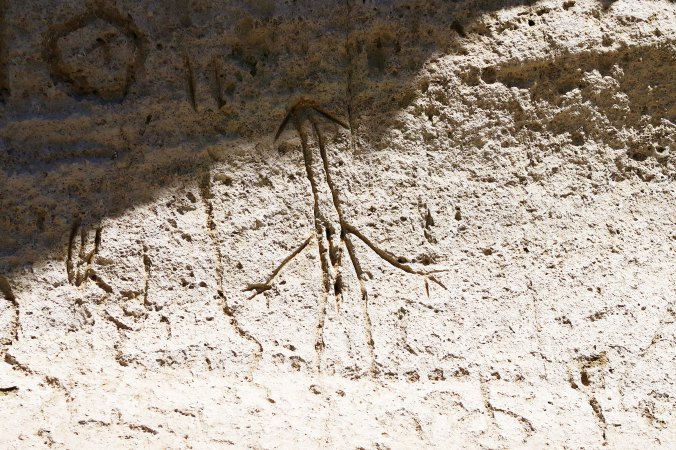 Photograph of human figure petroglyph at Petroglyph Point by Curtis Mekemson.