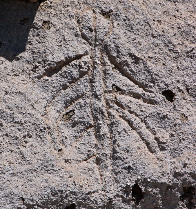 Rock Art of Petroglyph Point