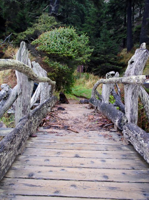Bridge at Beach 5, Olympic National Park
