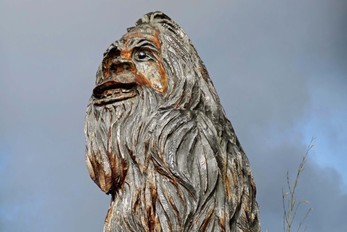 Large sasquatch 1