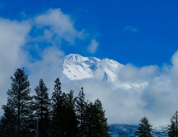 Mt. Shasta