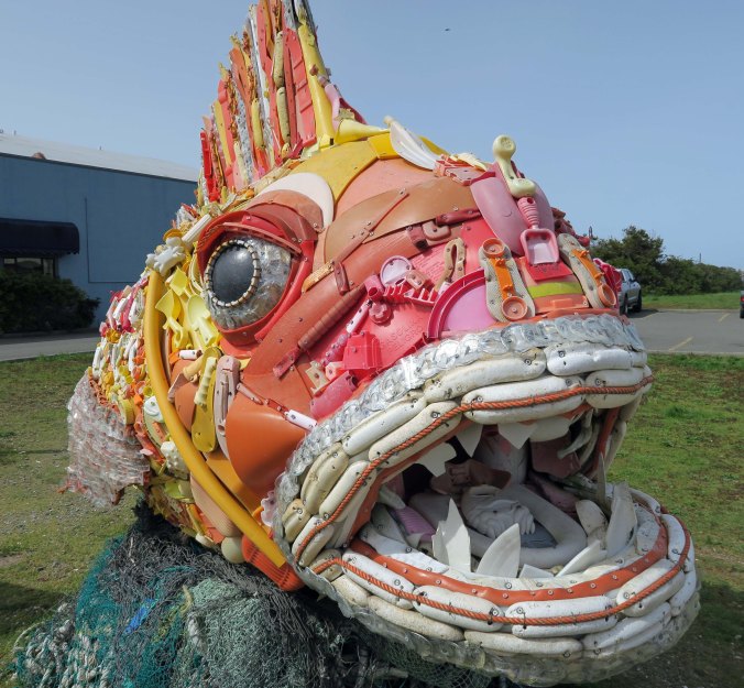 Ocean trash fish at Bandon, Oregon