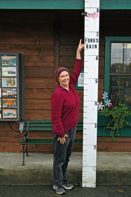 Photo of rainfall at Forks, Wa. by Curtis Mekemson.