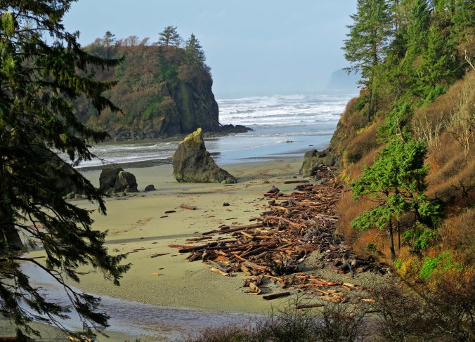 Ruby Beach, Olympic National Park