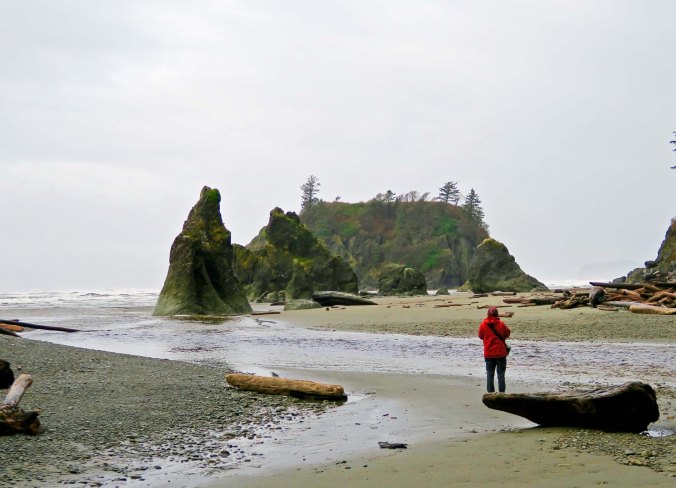 Sea stacks in Olympic National Park