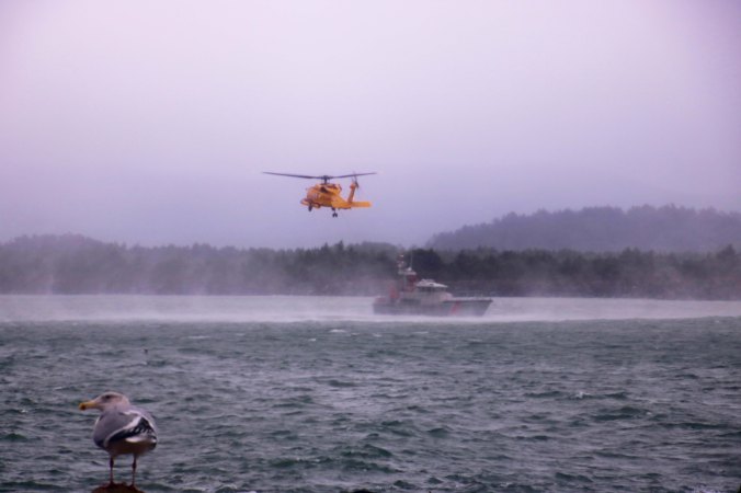 Seagull stops to watch Coast Guard practice rescues